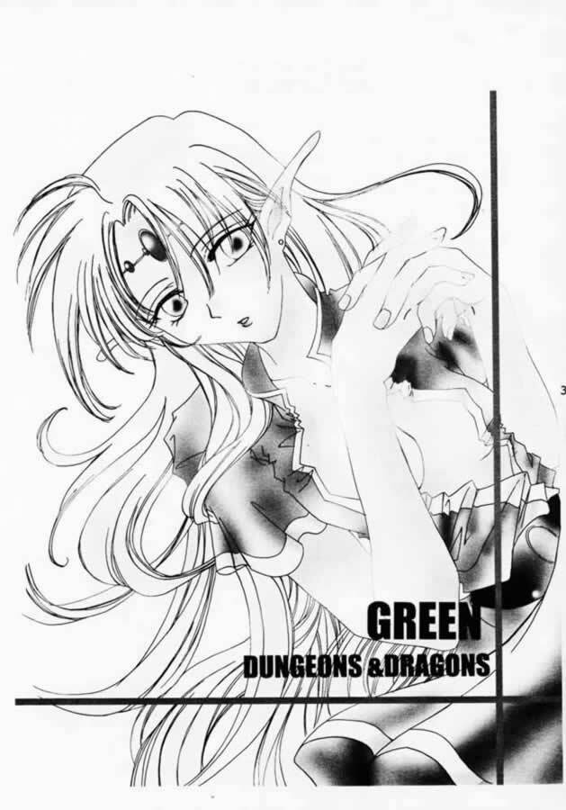 (CR28) [YUKIRINS (Yuunyan)] DUNGEONS & DRAGONS GREEN (Dungeons & Dragons Shadow Over Mystara) page 2 full