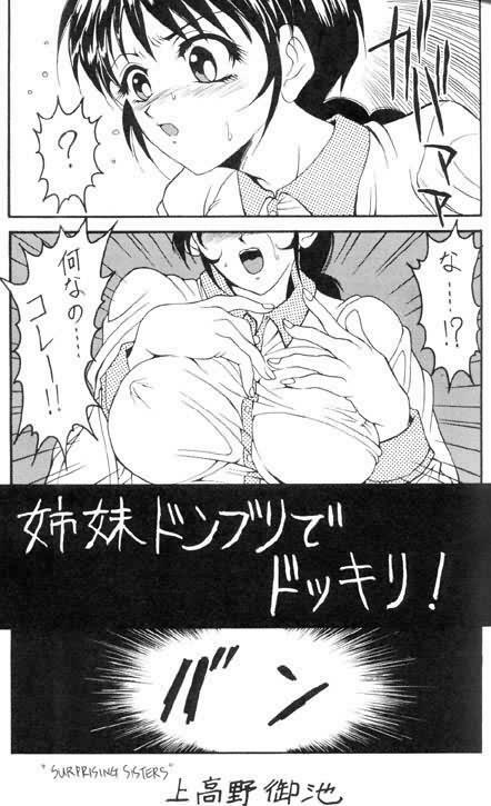 (story) Shimai donburi de dokkori!! page 1 full