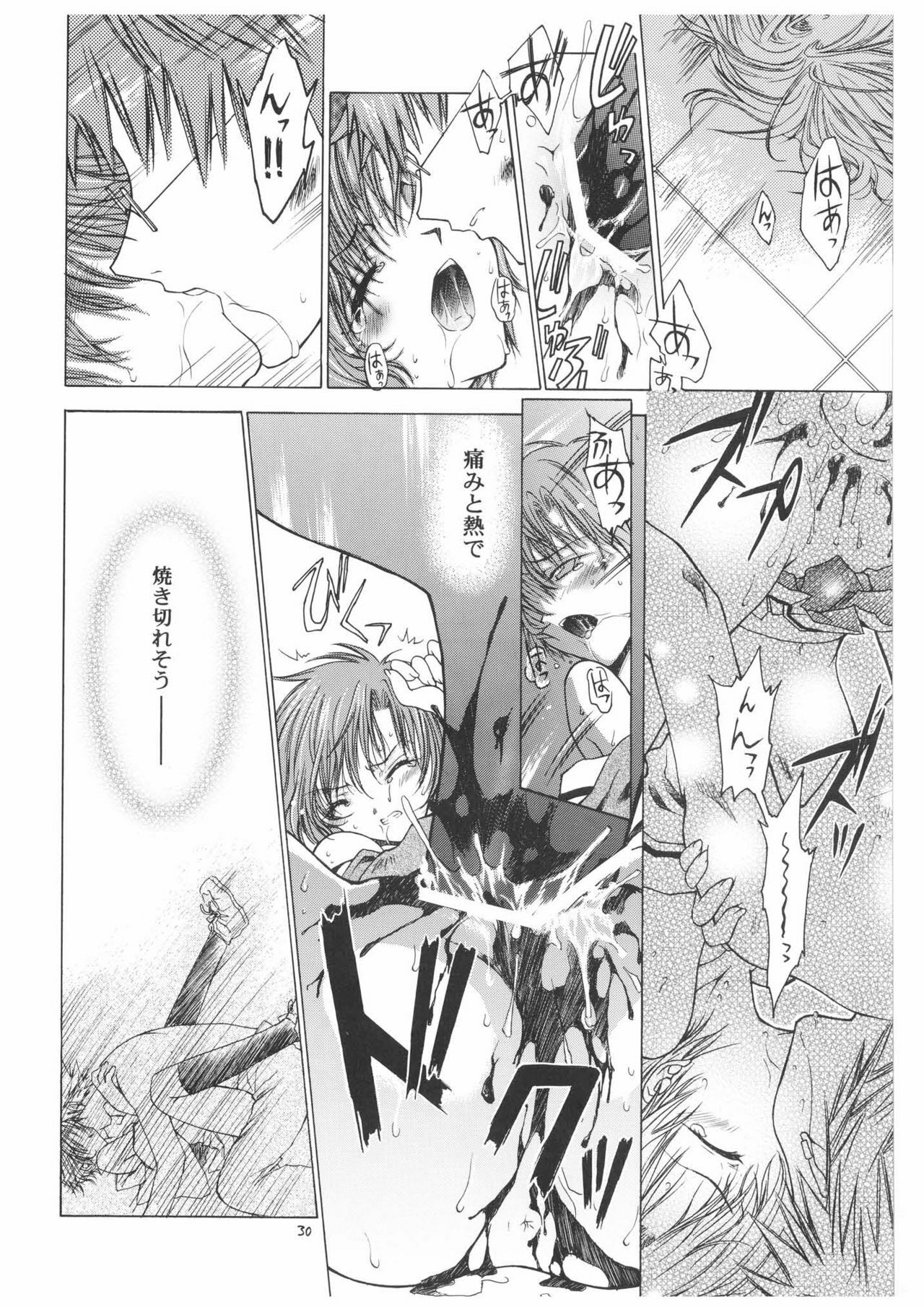 [RED RIBBON REVENGER] Haru no Mezame ~Valhalla Shuushou~ (Spiral) page 30 full