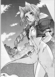[Shin Igyouha Club (Midou Sorawo)] Oyakusoku no Chi 2 (Final Fantasy VII​) - page 13
