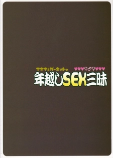 (C75) [TETRODOTOXIN (Nise Kurosaki)] Machina & Garnet to Toshikoshi SEX Zanmai (Dragonaut) [Spanish] [Biblioteca Hentai] - page 30