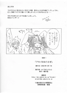 (USA2) [Mizukidou (Mizuki Takehito)] Akiba no Shiro Usagi (Di Gi Charat) - page 8