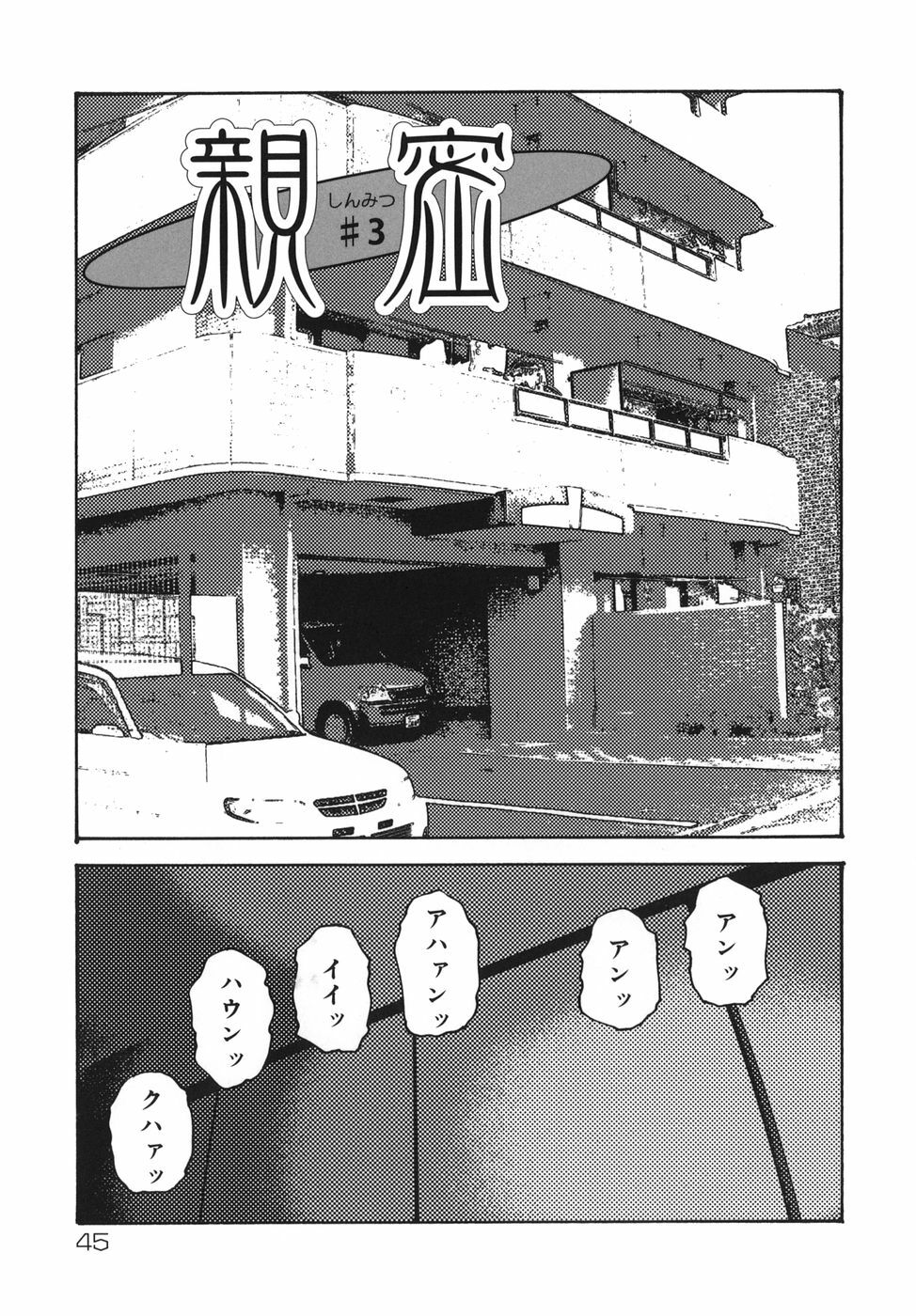 [Mikikazu] Sinmitsu ~Enbotachi no Hiai Soukan~ page 45 full