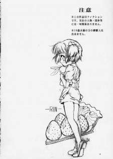 [Hotel California (Suika Natsuno) & Bunny Land (Usagi Yukino)]Sweet Angel 4 - page 2