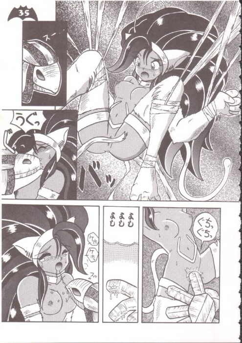 [Production HOPE (Various)] Waku Waku Vampire (Darkstalkers) page 29 full