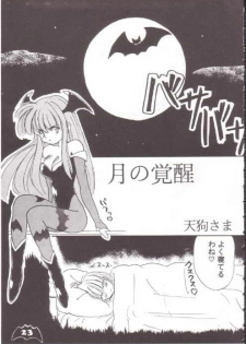 [Production HOPE (Various)] Waku Waku Vampire (Darkstalkers) - page 19