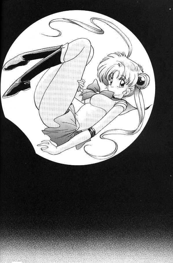 Subete Wa Yume No Sei Ni Sureba II [Sailor Moon] page 11 full