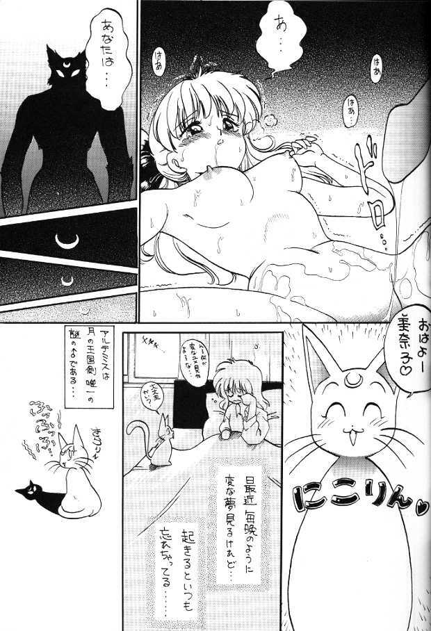 Subete Wa Yume No Sei Ni Sureba II [Sailor Moon] page 7 full