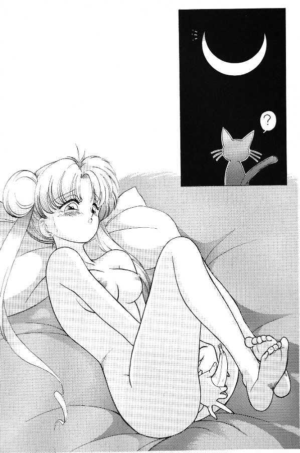 Subete Wa Yume No Sei Ni Sureba II [Sailor Moon] page 9 full