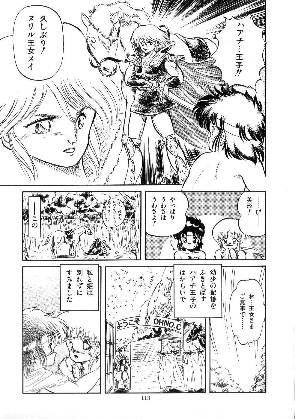 [Tomozawa Shou] Mishoujo Salad Party page 115 full