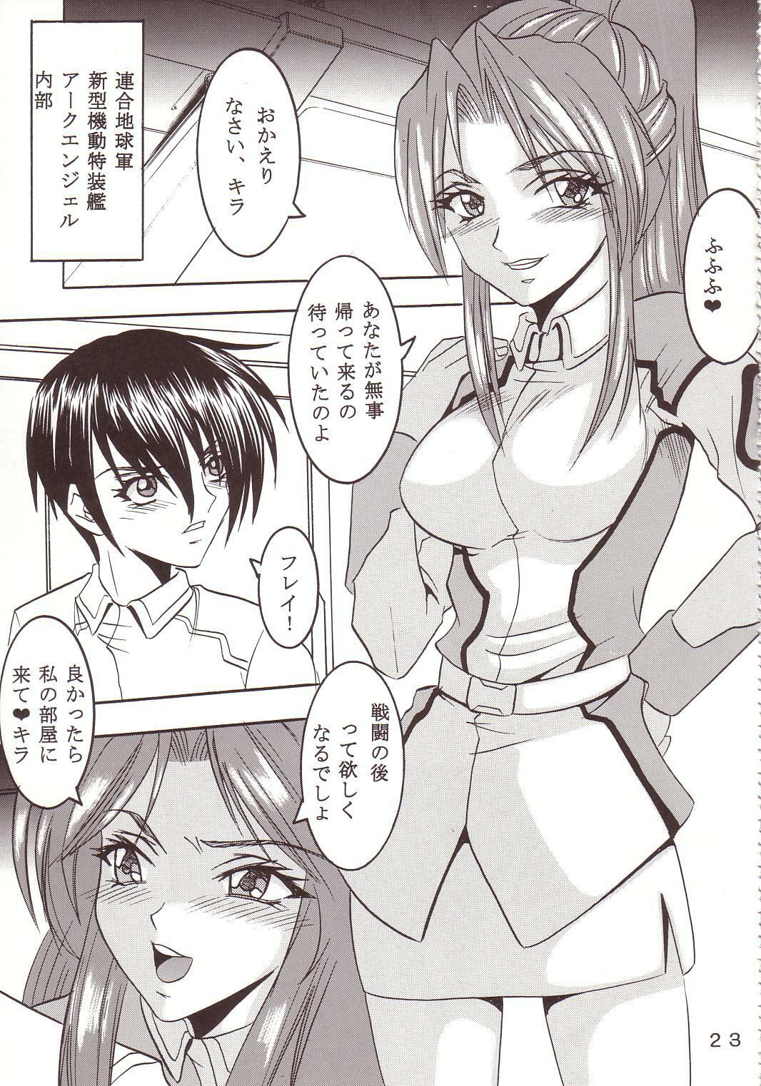 [St. Rio (Kitty, Kouenji Rei)] SEED (Mobile Suit Gundam SEED) page 24 full