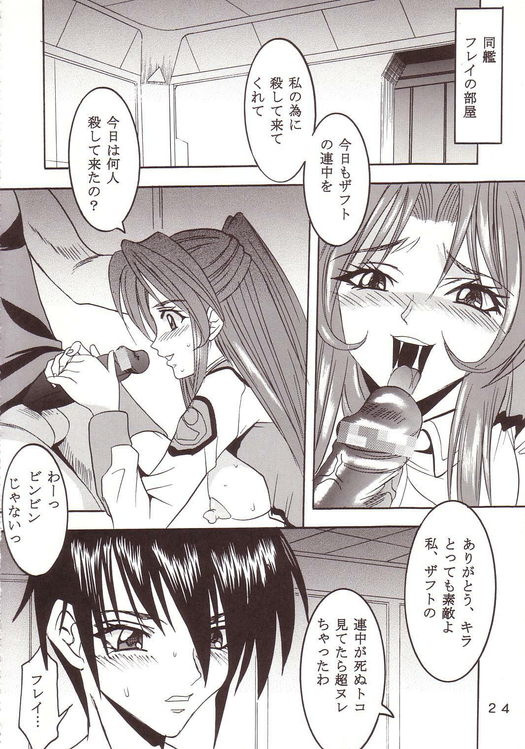 [St. Rio (Kitty, Kouenji Rei)] SEED (Mobile Suit Gundam SEED) page 25 full