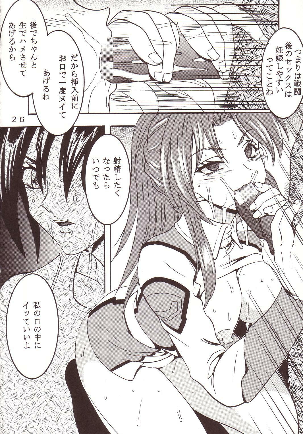 [St. Rio (Kitty, Kouenji Rei)] SEED (Mobile Suit Gundam SEED) page 27 full