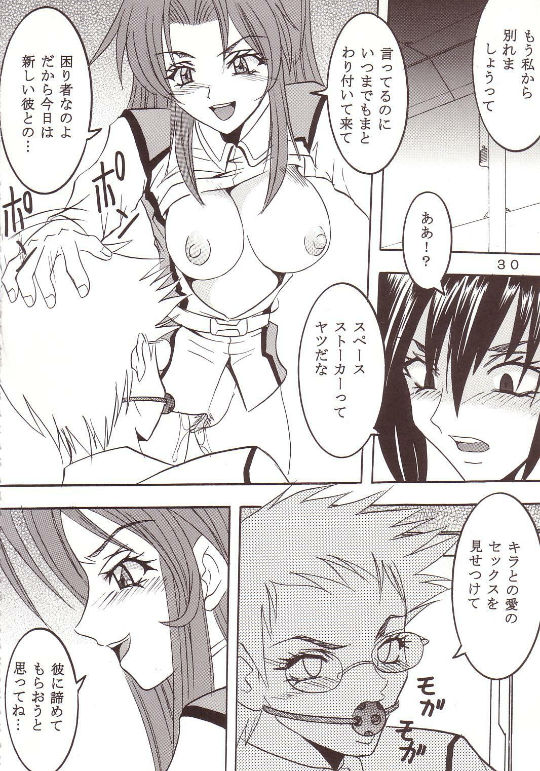 [St. Rio (Kitty, Kouenji Rei)] SEED (Mobile Suit Gundam SEED) page 31 full