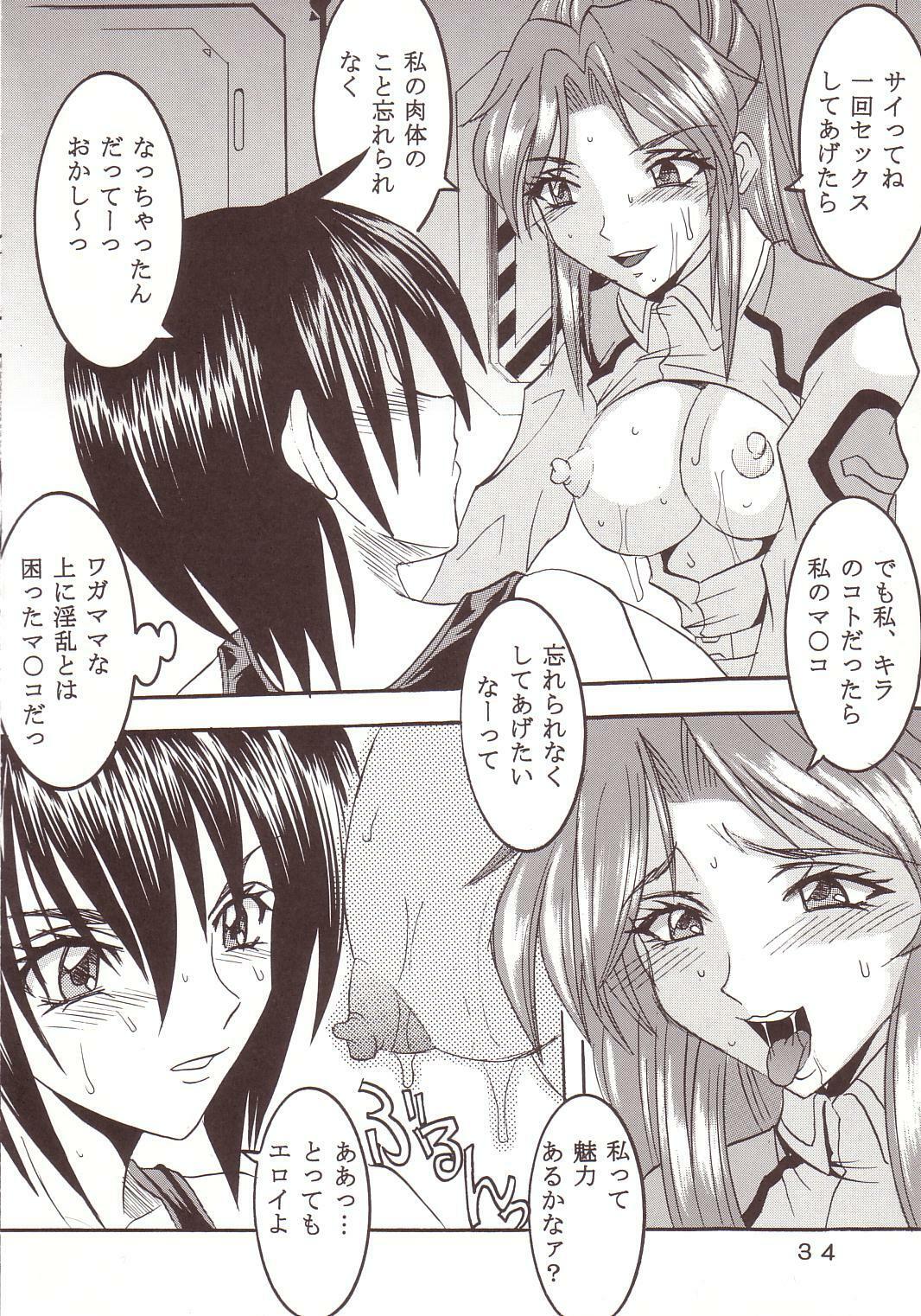 [St. Rio (Kitty, Kouenji Rei)] SEED (Mobile Suit Gundam SEED) page 35 full