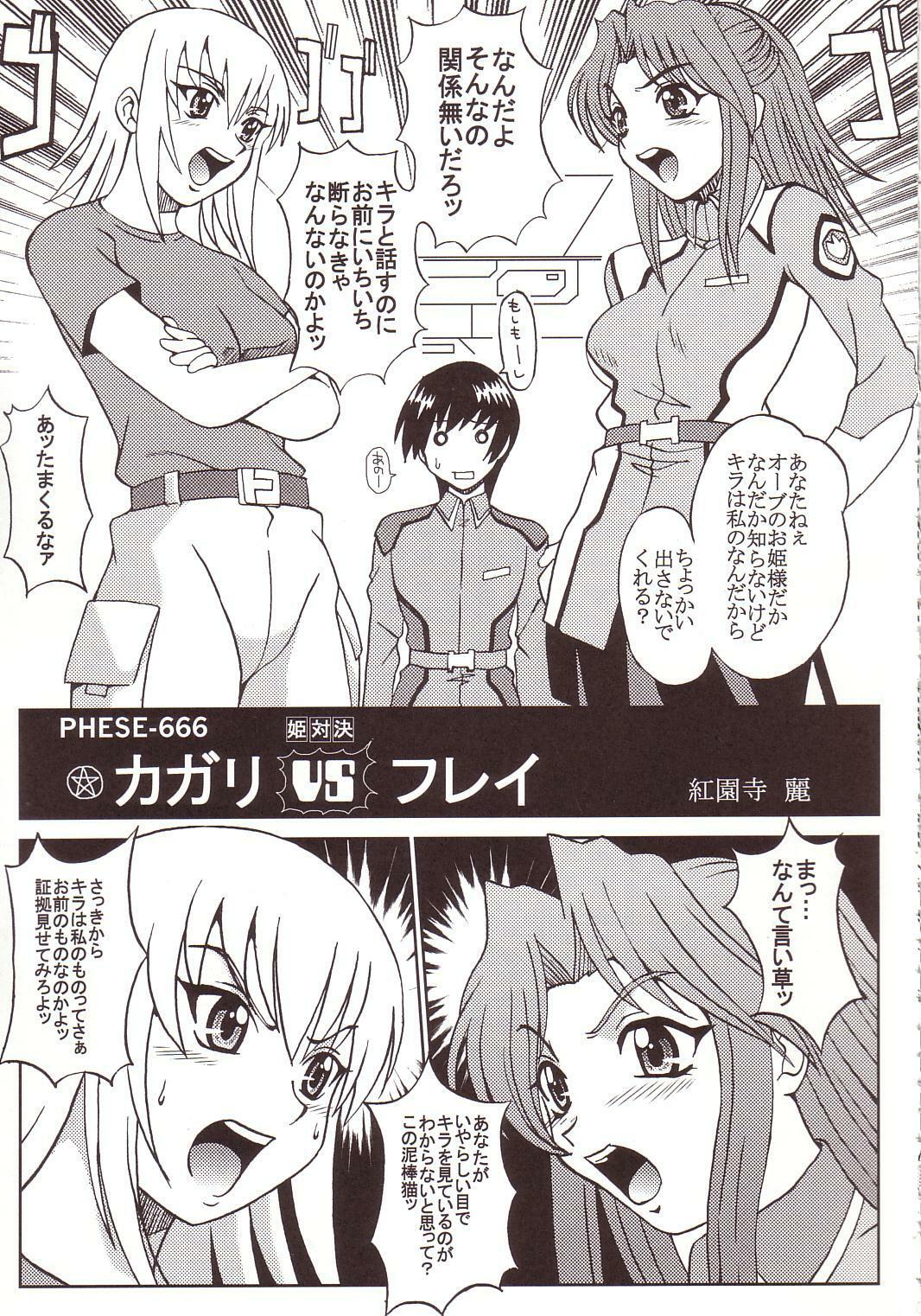 [St. Rio (Kitty, Kouenji Rei)] SEED (Mobile Suit Gundam SEED) page 4 full