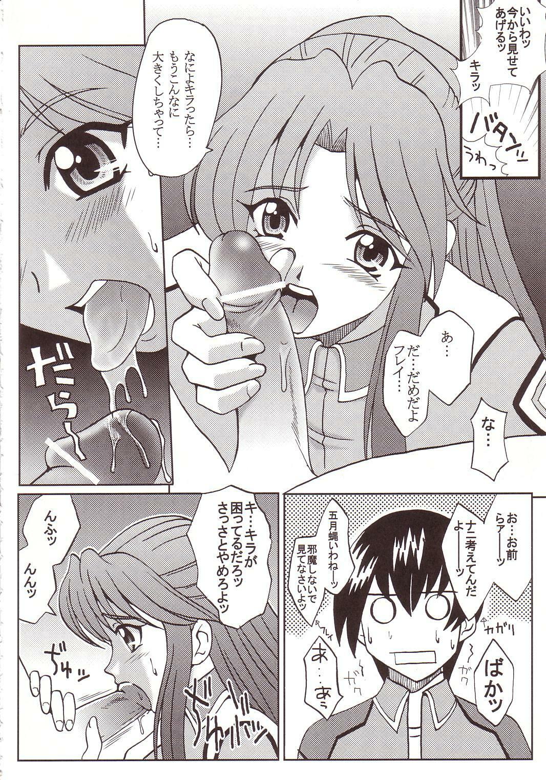 [St. Rio (Kitty, Kouenji Rei)] SEED (Mobile Suit Gundam SEED) page 5 full