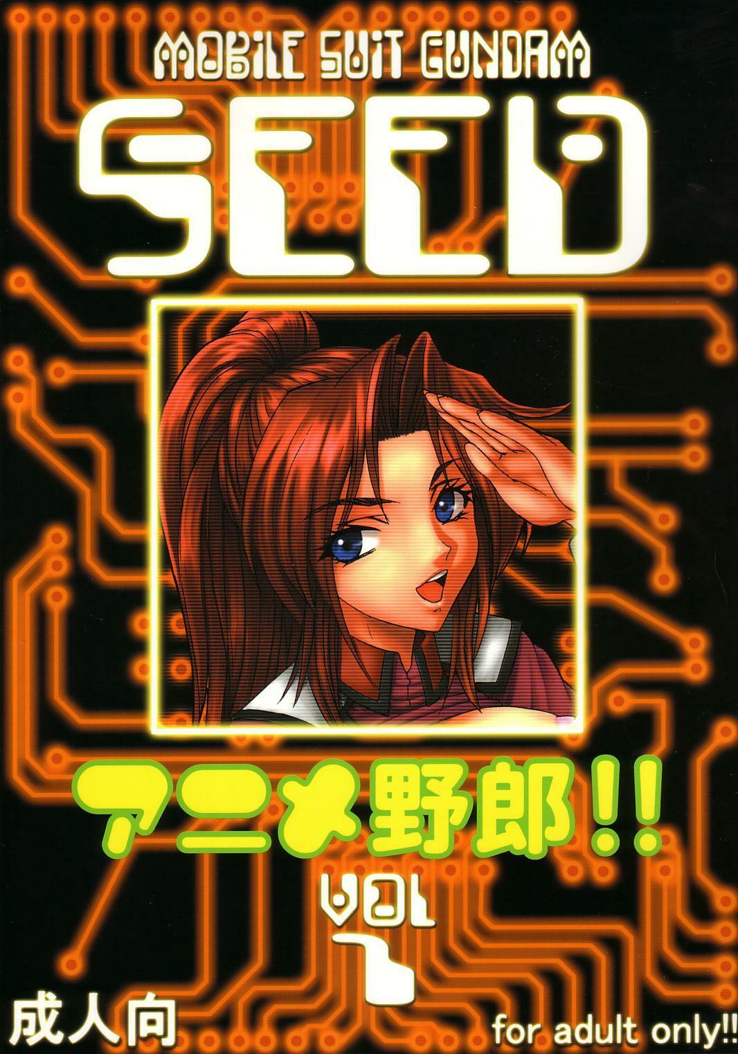 [St. Rio (Kitty, Kouenji Rei)] SEED (Mobile Suit Gundam SEED) page 54 full