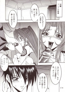 [St. Rio (Kitty, Kouenji Rei)] SEED (Mobile Suit Gundam SEED) - page 25