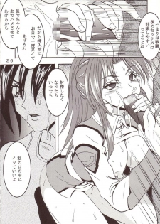 [St. Rio (Kitty, Kouenji Rei)] SEED (Mobile Suit Gundam SEED) - page 27