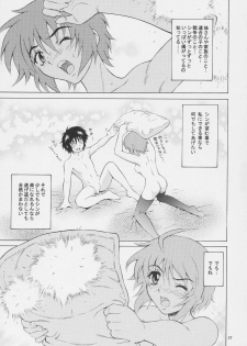 (C69) [GUST (Harukaze Soyogu)] Burning!! 2 (Mobile Suit Gundam SEED DESTINY) - page 22