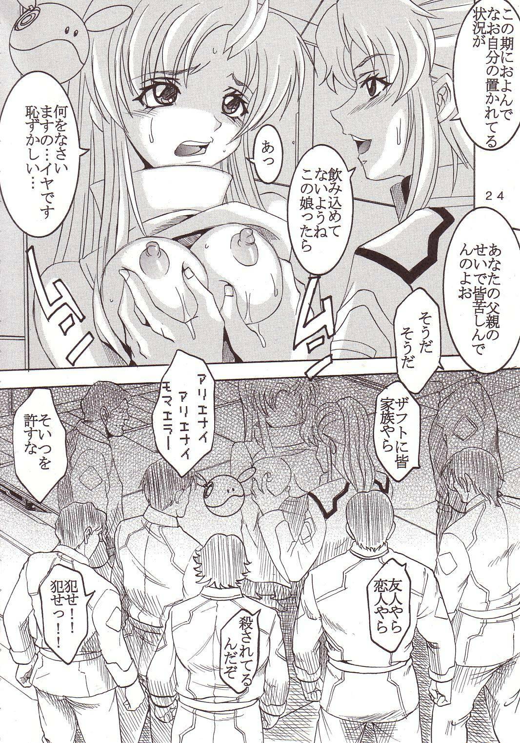 [St. Rio (Kitty, Ishikawa Ippei)] SEED 4 (Mobile Suit Gundam SEED) page 25 full