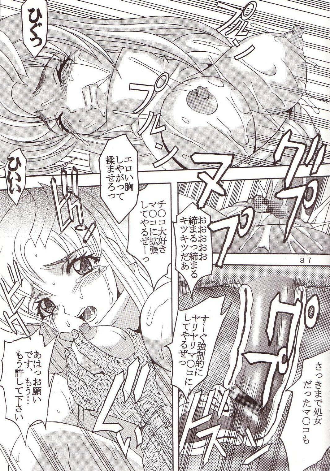 [St. Rio (Kitty, Ishikawa Ippei)] SEED 4 (Mobile Suit Gundam SEED) page 38 full