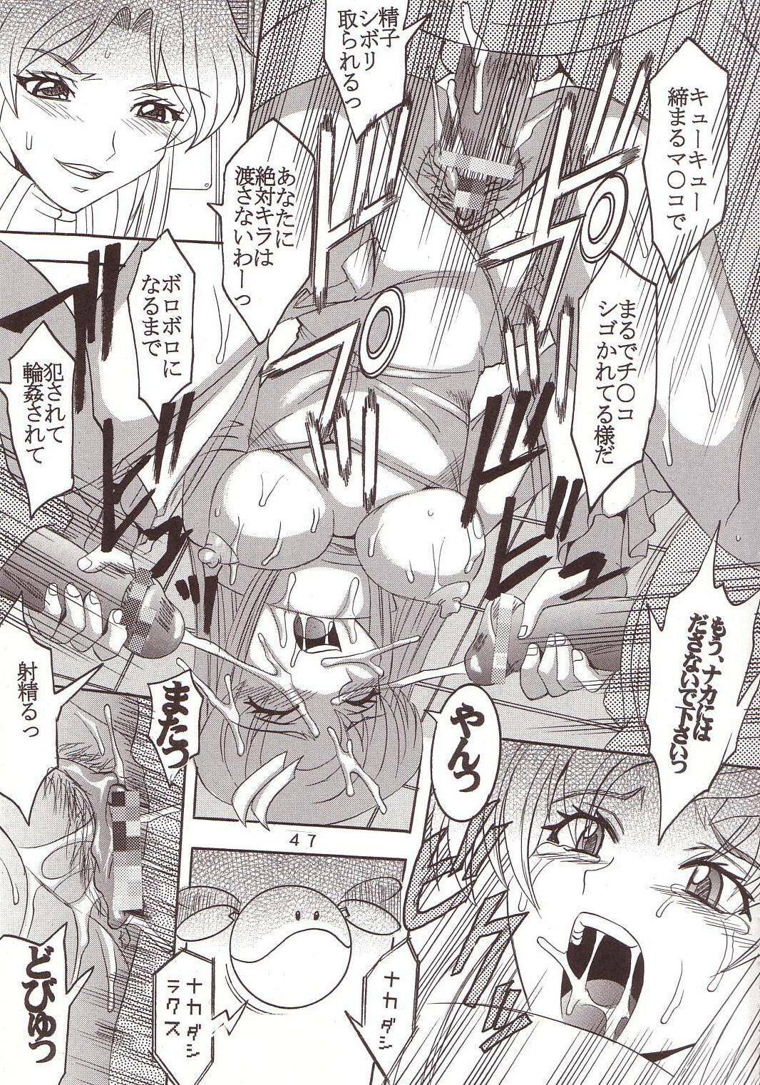 [St. Rio (Kitty, Ishikawa Ippei)] SEED 4 (Mobile Suit Gundam SEED) page 48 full