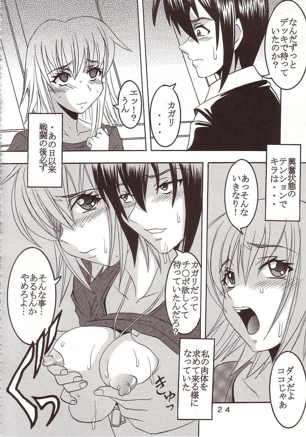 [St. Rio (Kitty, Ishikawa Ippei)] SEED 3 (Mobile Suit Gundam SEED) page 23 full