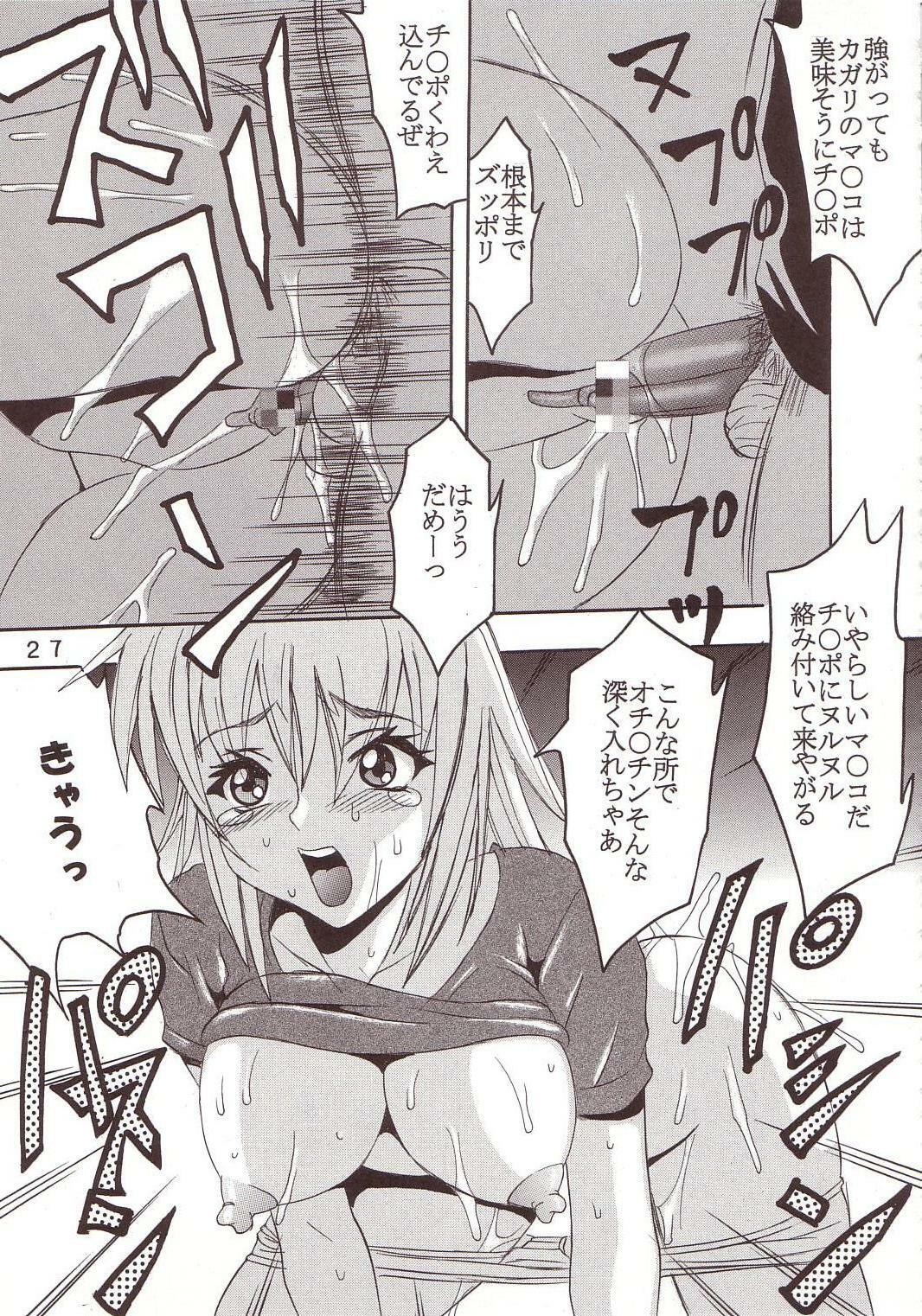 [St. Rio (Kitty, Ishikawa Ippei)] SEED 3 (Mobile Suit Gundam SEED) page 26 full