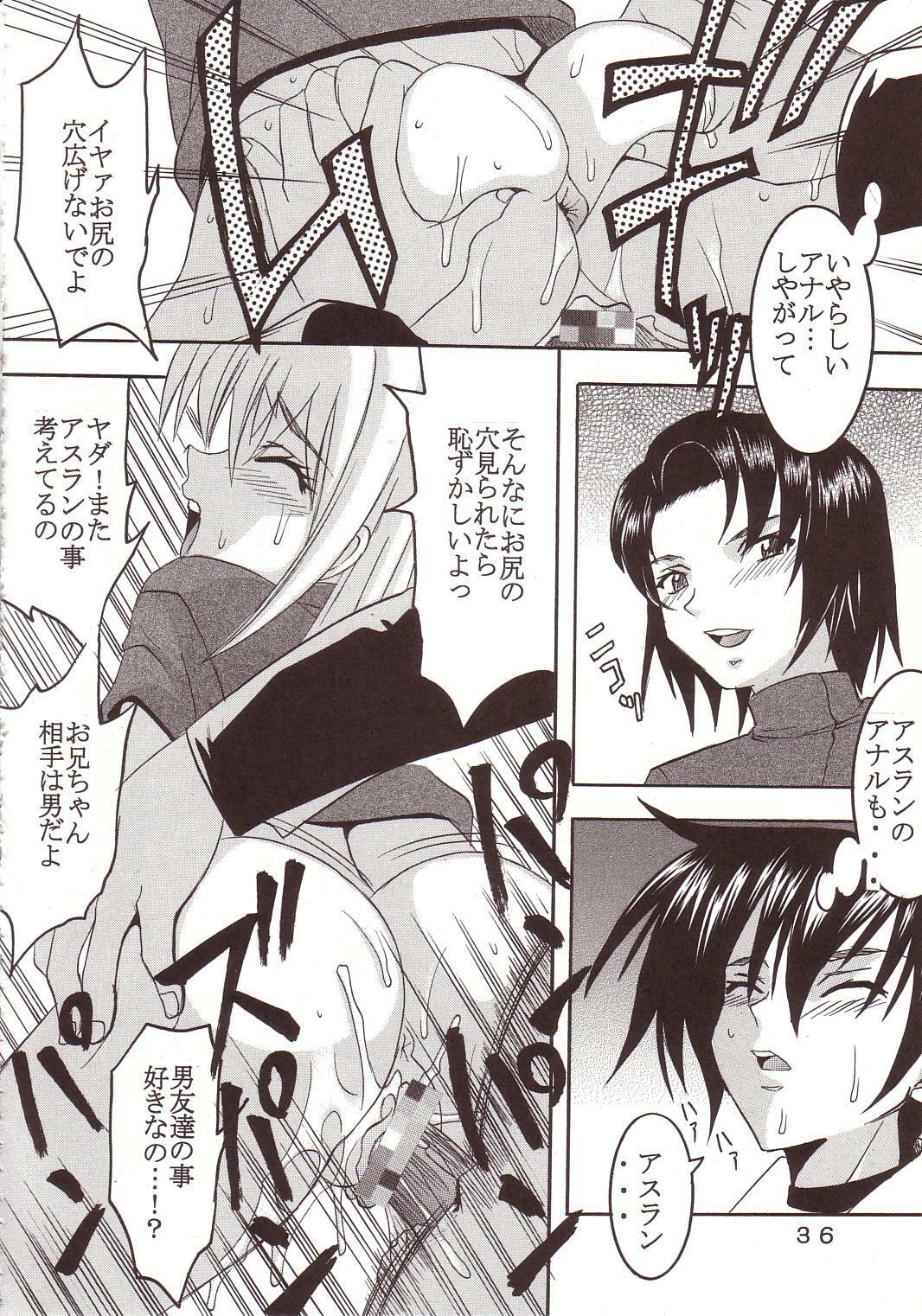 [St. Rio (Kitty, Ishikawa Ippei)] SEED 3 (Mobile Suit Gundam SEED) page 35 full