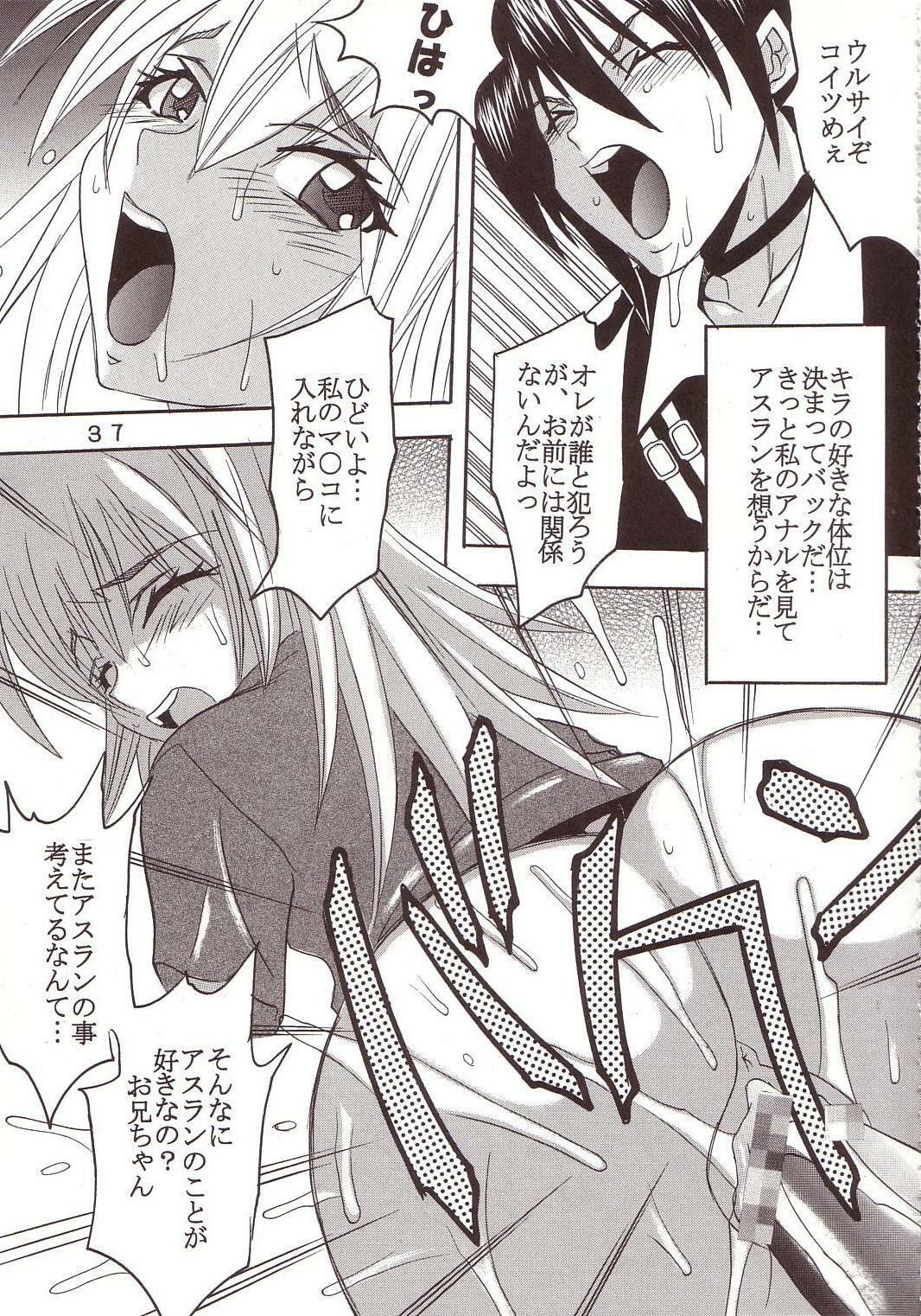 [St. Rio (Kitty, Ishikawa Ippei)] SEED 3 (Mobile Suit Gundam SEED) page 36 full