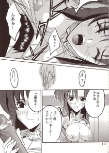 [St. Rio (Kitty, Ishikawa Ippei)] SEED 3 (Mobile Suit Gundam SEED) - page 14