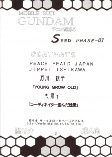 [St. Rio (Kitty, Ishikawa Ippei)] SEED 3 (Mobile Suit Gundam SEED) - page 3