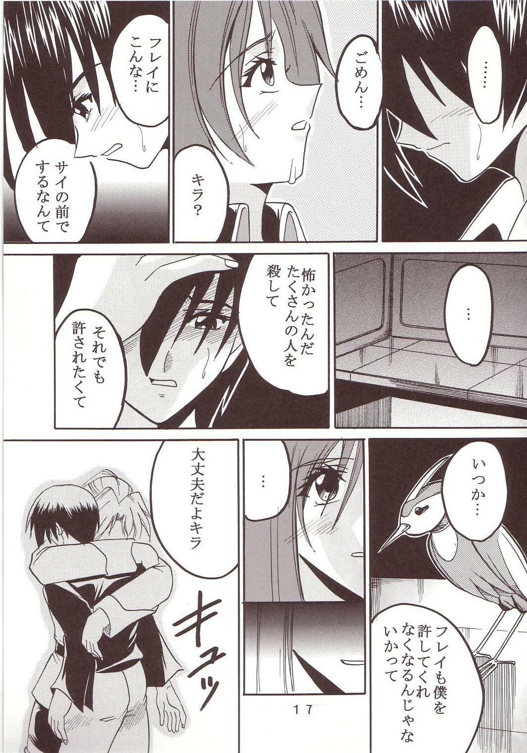 [St. Rio (Kichigai Teiou, Ishikawa Ippei)] SEED 2 (Mobile Suit Gundam SEED) page 18 full