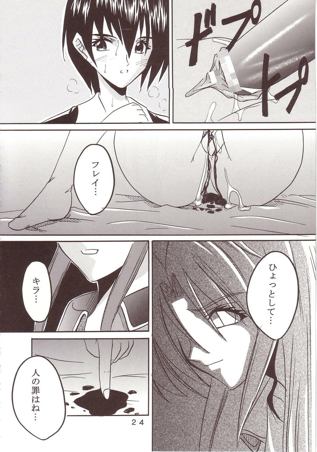 [St. Rio (Kichigai Teiou, Ishikawa Ippei)] SEED 2 (Mobile Suit Gundam SEED) page 25 full