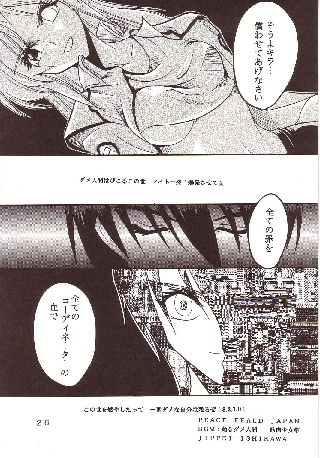 [St. Rio (Kichigai Teiou, Ishikawa Ippei)] SEED 2 (Mobile Suit Gundam SEED) page 27 full