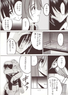 [St. Rio (Kichigai Teiou, Ishikawa Ippei)] SEED 2 (Mobile Suit Gundam SEED) - page 18