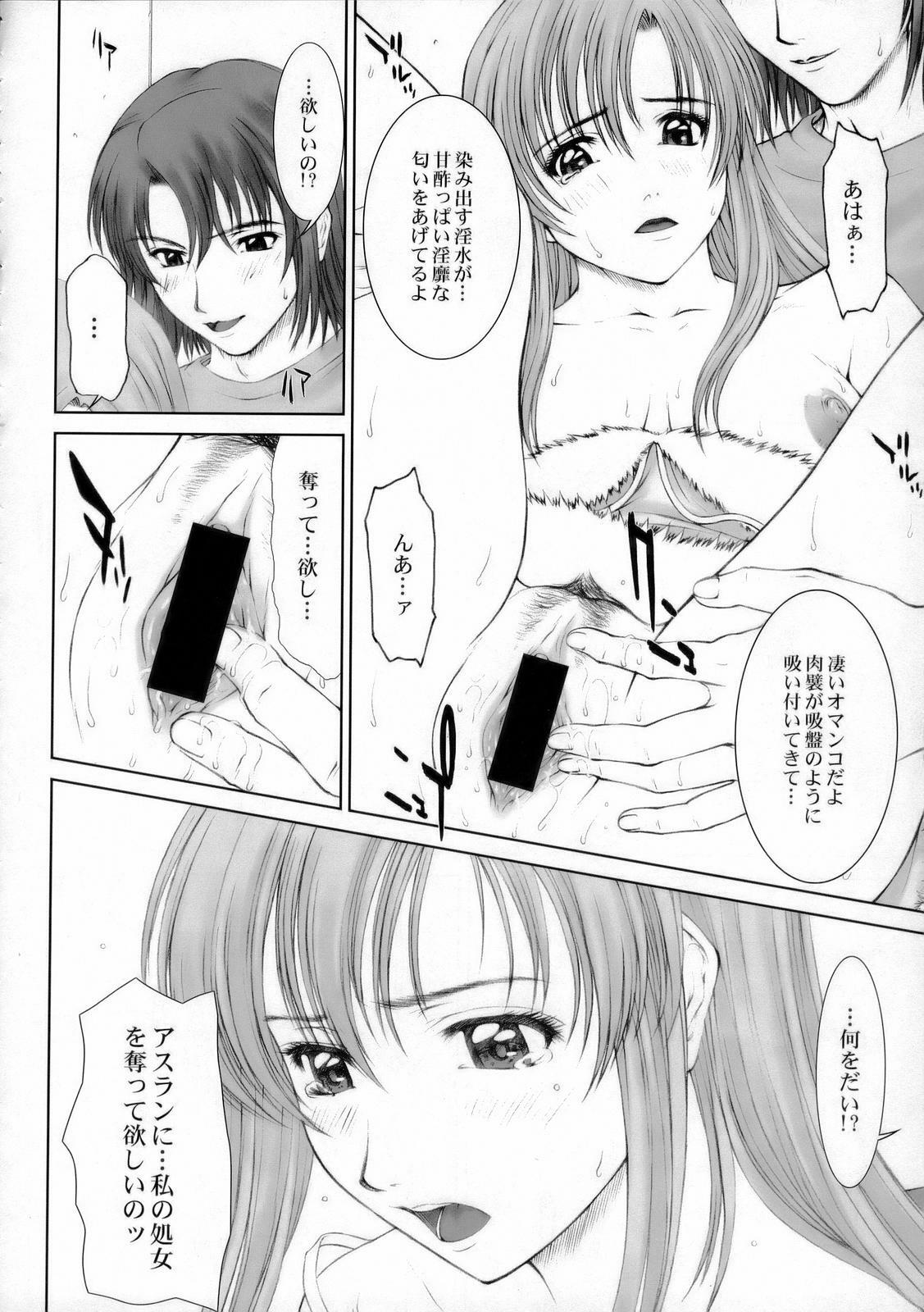 (C68) [HIGHLAND-STUDIO (Ueno Naoya)] GIRLS CAPRICCIO 9 (Gundam SEED) page 13 full