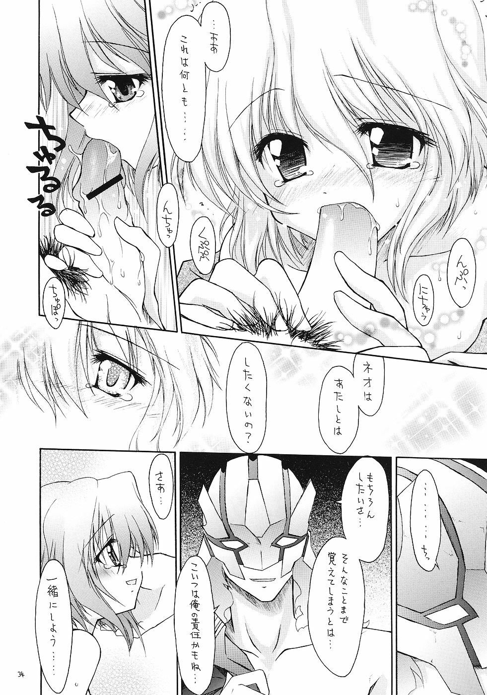 (CR37) [Red Ribbon Revenger (Various)] Flying Dragon (Gundam Seed Destiny) page 33 full