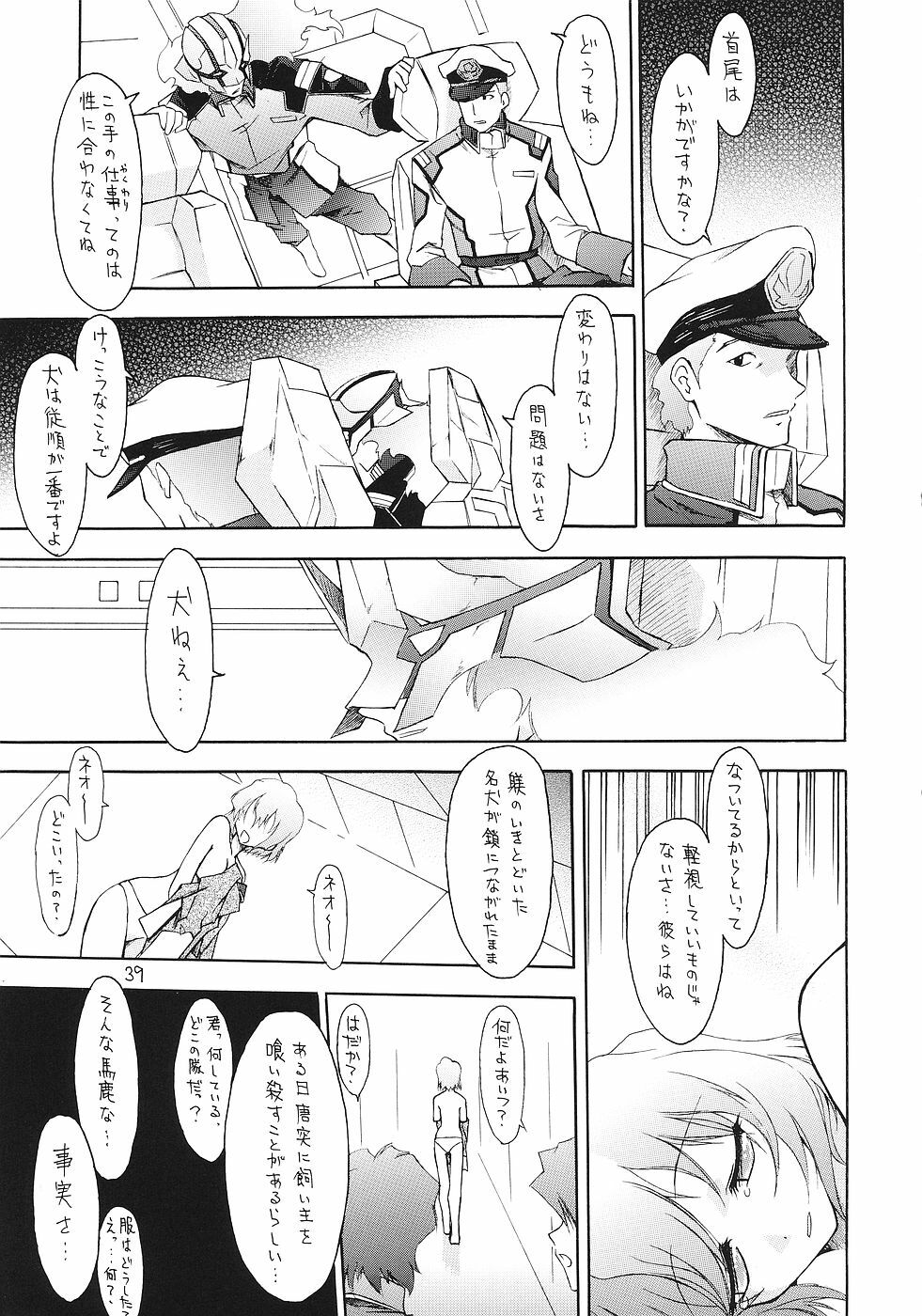 (CR37) [Red Ribbon Revenger (Various)] Flying Dragon (Gundam Seed Destiny) page 38 full