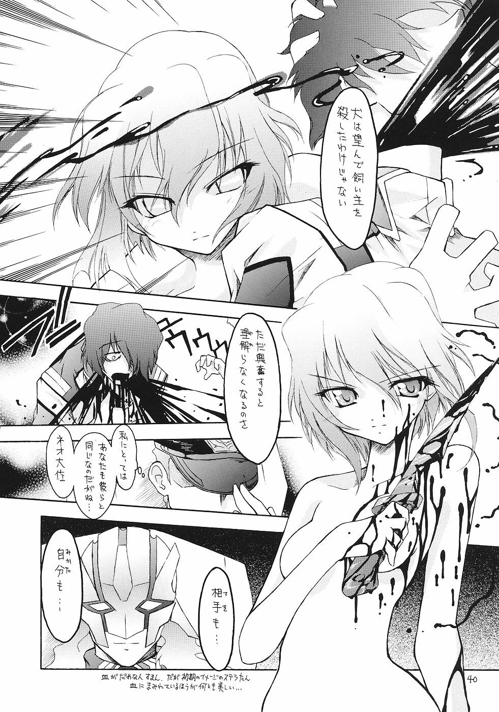 (CR37) [Red Ribbon Revenger (Various)] Flying Dragon (Gundam Seed Destiny) page 39 full