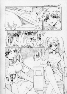 (C65) [Wild Kingdom (Sensouji Kinoto)] BP - Buttre Princess (Gundam Seed) - page 3