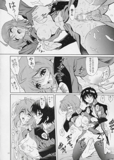 (C67) [GUST (Harukaze Soyogu)] Burning!! (Mobile Suit Gundam SEED DESTINY) - page 11