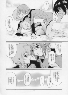 (C67) [GUST (Harukaze Soyogu)] Burning!! (Mobile Suit Gundam SEED DESTINY) - page 13