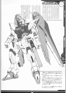 (SC19) [Abellcain, OVACAS (Fujimaru Arikui, Hirokawa Kouichirou)] Rotation (Gundam SEED) - page 27