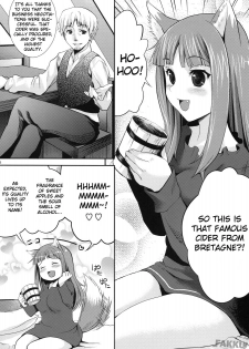 (COMIC1☆3) [Koakuma Sageha (Sage Joh)] Ookami to Mitsu Ringo (Spice and Wolf) [English] [FAKKU] - page 5