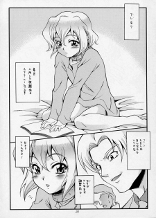 (C68) [K2 Tomonokai (Mizuki)] Gundes Arekore (Gundam Seed Destiny) - page 25