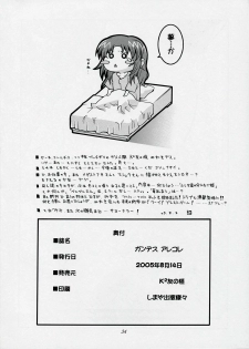 (C68) [K2 Tomonokai (Mizuki)] Gundes Arekore (Gundam Seed Destiny) - page 33