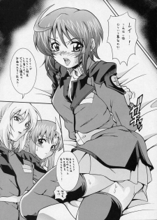 (C68) [K2 Tomonokai (Mizuki)] Gundes Arekore (Gundam Seed Destiny) - page 4